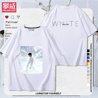 张远演唱会周边短袖男女粉丝应援20254年夏季宽松新款百搭T恤衣服