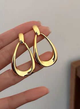 Simple French Style Geometric Earrings For Women Fashion Lux