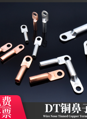DT铜鼻子接线端子电线镀锡接头线耳10/16/25/35/50平方国标厂标