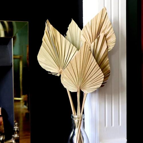 2PCS Palm Fan Leaf Dried Flower Mini Palm Leaves In Differen