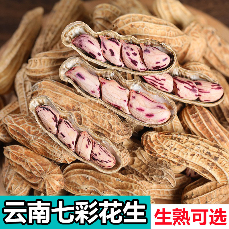 2023新货500克生七彩花生带壳花生米云南野地五彩色花生零食特产