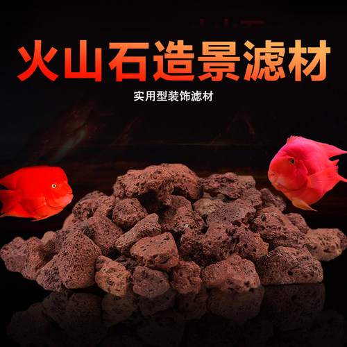 火山石鱼缸造景鱼掌柜鱼池滤材