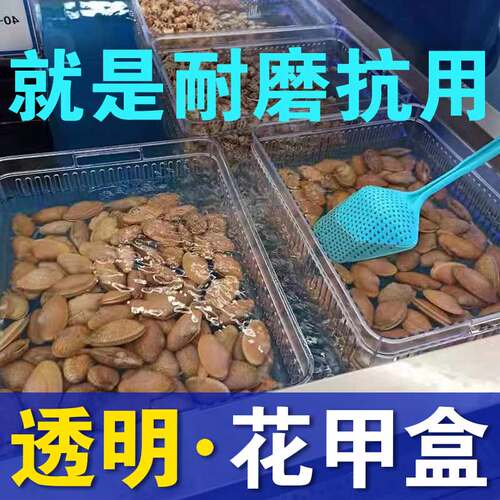 花甲盒海鲜筐花蛤贝壳流沙吐水