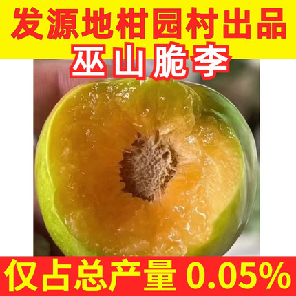 【曲尺最后一天】重庆巫山脆李曲尺乡柑园村脱骨李脱核李蜂糖李