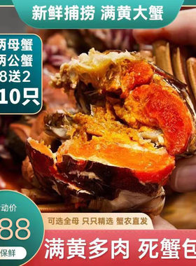 活蟹现货10只大闸蟹鲜活螃蟹兴化红膏螃蟹死蟹包赔礼盒装包邮