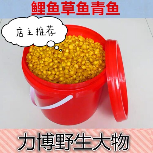 老坛秘制野钓水库草鱼窝料