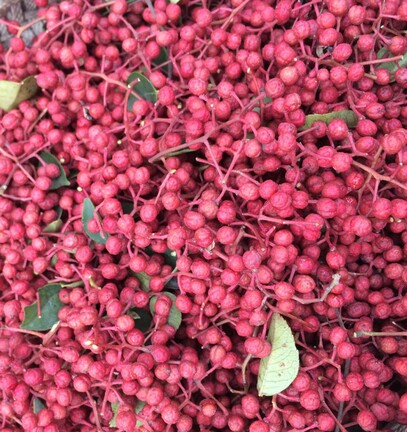 奇人傅山花椒50g调味品