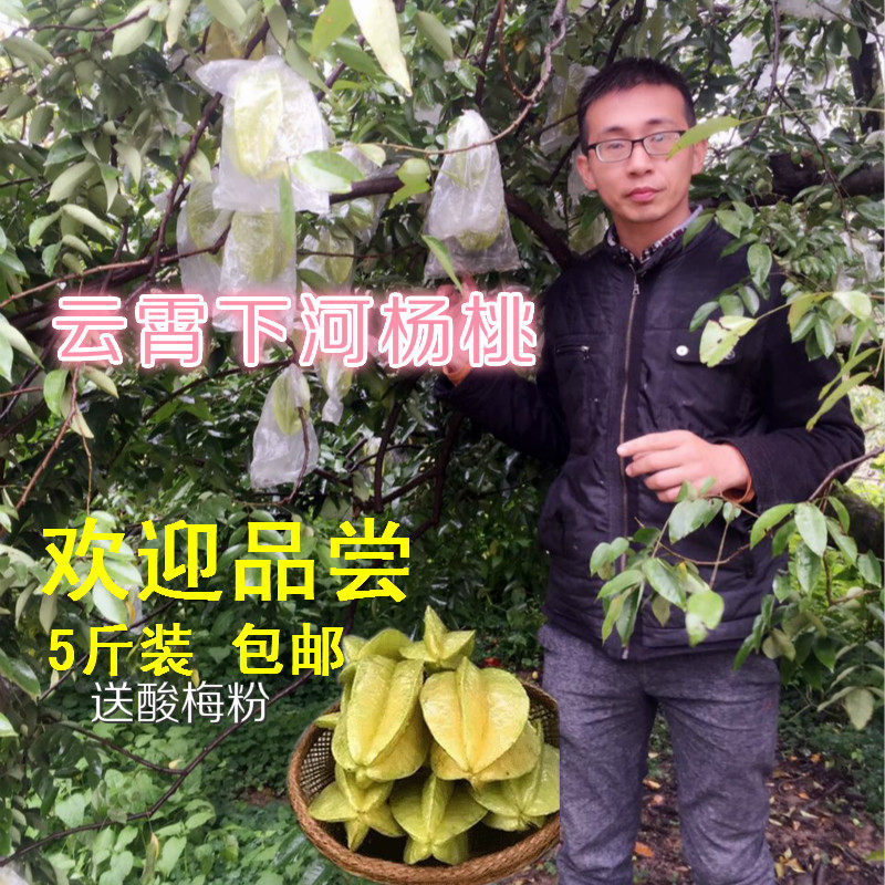 新鲜杨桃 甜杨桃5斤包邮农家现摘台湾阳桃 热带新鲜甜酸水果洋桃,水产肉类/新鲜蔬果/熟食,杨桃,淘宝优惠券,粉丝福利购,淘宝优惠卷