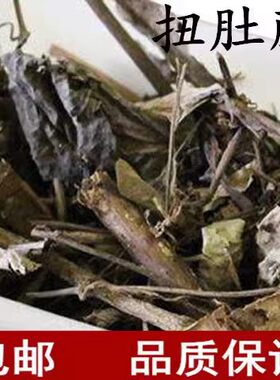 扭肚藤 材扭肚藤 白花茶 假素馨 猪肚勒 青藤子花真货