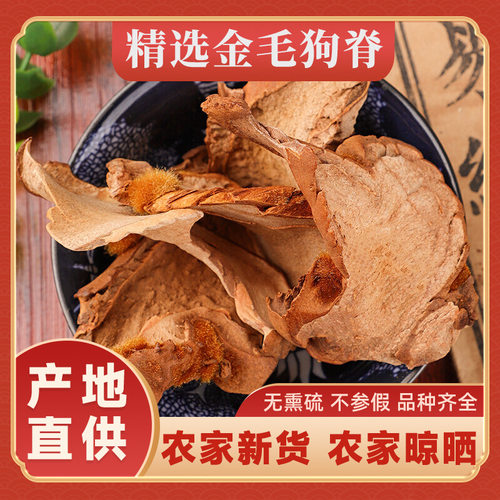 金毛狗脊材新货精选大片野生金毛狗脊大金狗脊猴毛头料真货