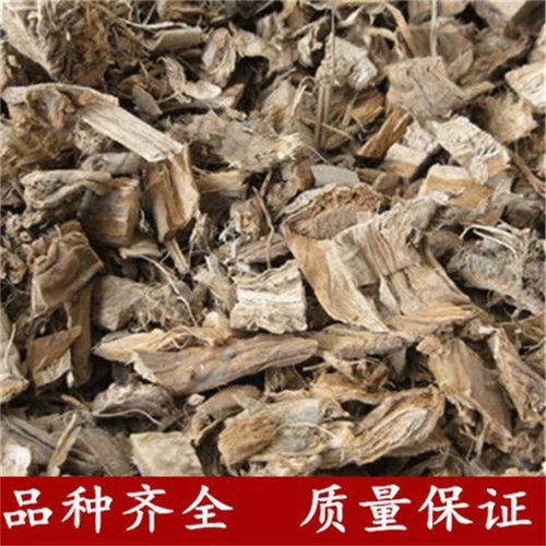 蒲黄根 蒲篛 蒲儿根 蒲笋 水烛香蒲根 蒲草根 蒲包草根 包邮真货