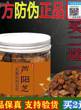 【官方正品】芦阳芝野生西藏官网正品天然卢阳芝黑金大粒庐阳灵Q7
