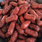 卤味熟食下酒菜猪小肠肠衣卷年货即食捆肠凉拌菜真空装 丽水特产