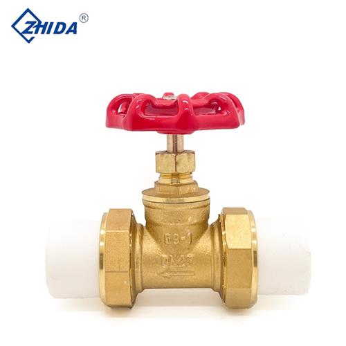 热熔PPR双活接铜截止阀PE水截门开关4分6分自来水管阀门开关配件