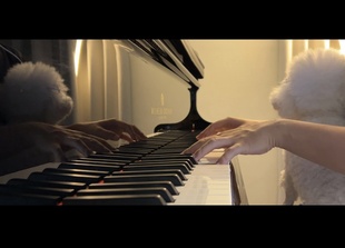 三角钢琴男生代弹 只露手制作短视频音乐视频流行歌定制儿歌伴奏