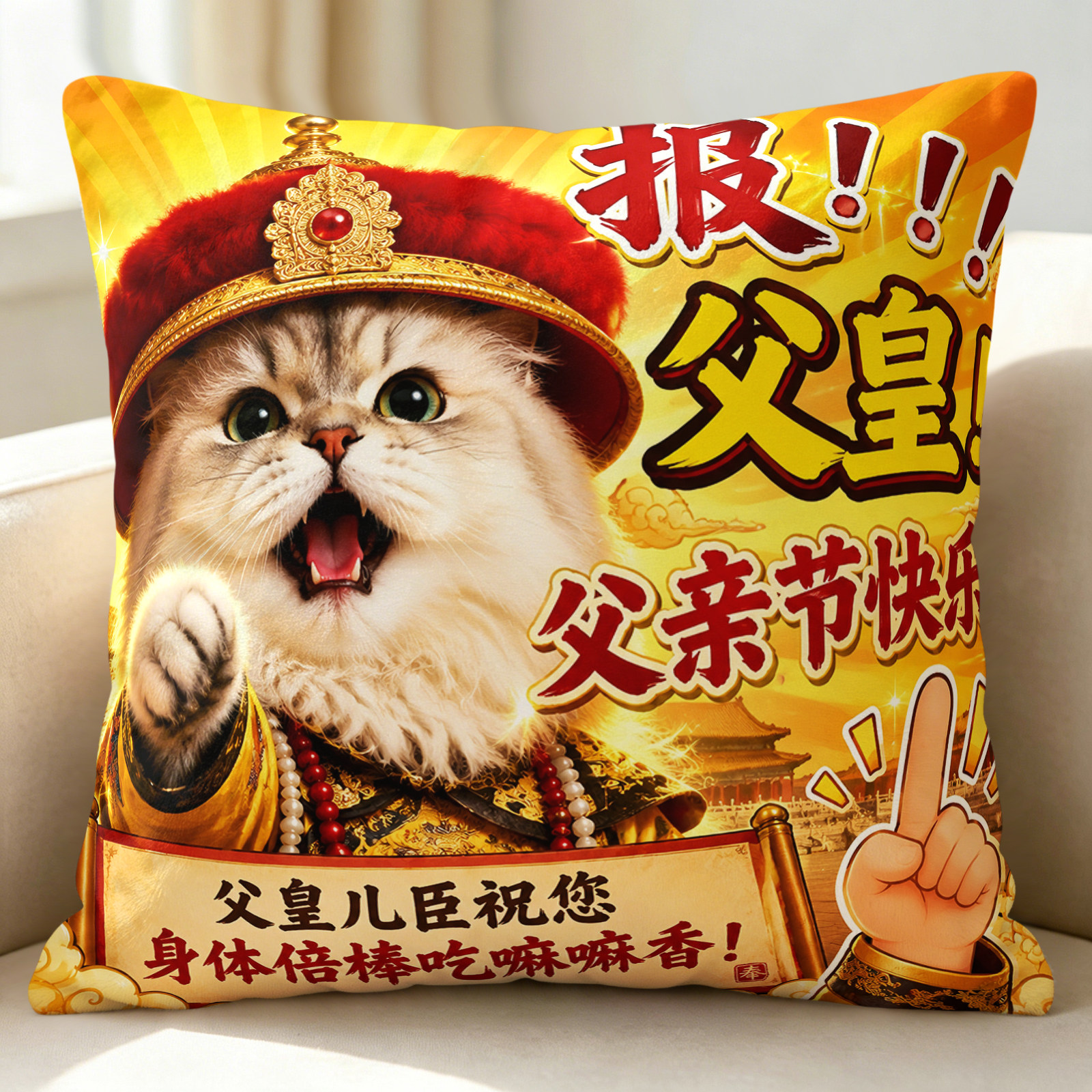 父亲节礼物表情包抱枕猫猫趣味祝父皇送爸爸生日礼物沙发靠垫枕套