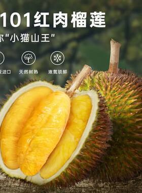 精选A级红肉榴莲马来西亚进口D101液氮水果冷冻包邮