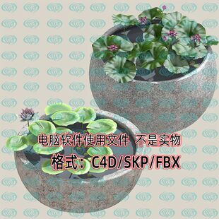 maya 3dmax中式 水景水缸荷花池室内景观鱼池3d模型SU C4D unity