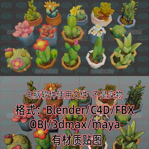 blender低面卡通绿植盆栽maya多肉绿植盆栽仙人掌植物模型fbx c4d