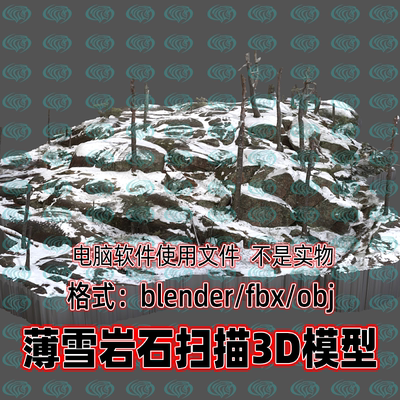 3dmax maya C4D blender影视游戏冬季雪地岩石山坡树木扫描3d模型