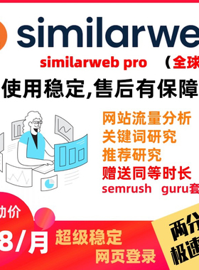 SimilarWeb 网页关键词竞争对手分析工具（全球版399美元版本）