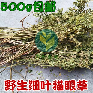 新货野生细叶猫眼草乳浆大戟烂巴眼肿手棵茶耳叶大戟500克包邮