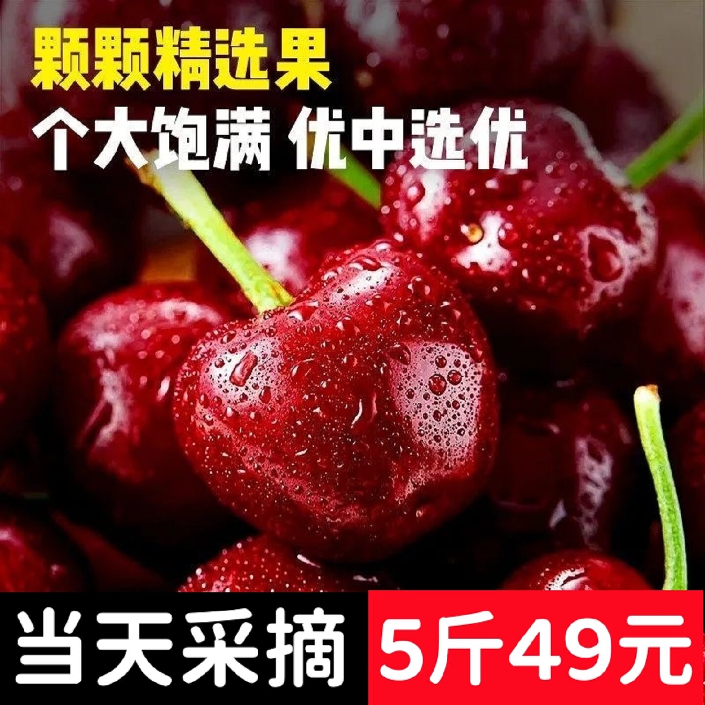 山东烟台美早大樱桃5斤国产车厘子新鲜采摘当季孕妇水果包邮到家1