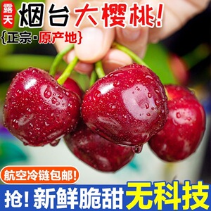 山东烟台美早大樱桃5斤国产车厘子新鲜采摘当季孕妇水果包邮到家2