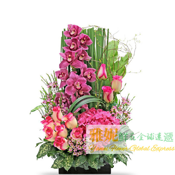 香港鮮花速遞花店送花訂花探望慰問早日康復生日九龍中環北角澳門