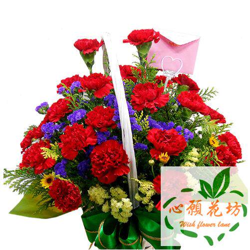 香港康乃馨花籃速遞教師節婦女母親同城配送生日祝福台湾台北澳門