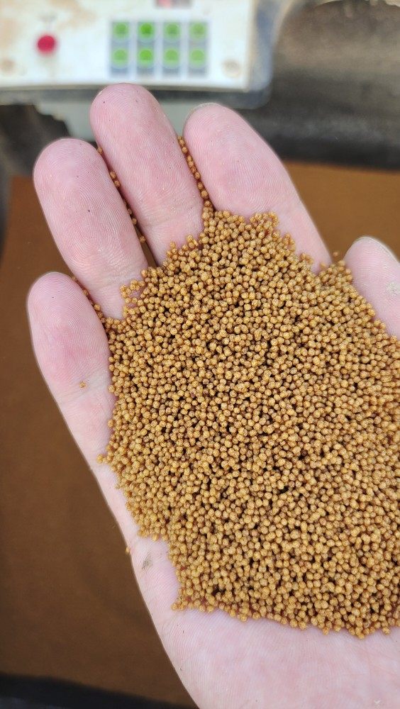 自家渔场饲料,宠物/宠物食品及用品,观赏鱼饲料,淘宝优惠券,粉丝福利购,淘宝优惠卷