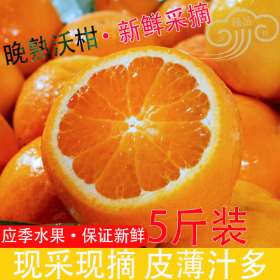 现采现摘，晚熟沃柑，新鲜直达