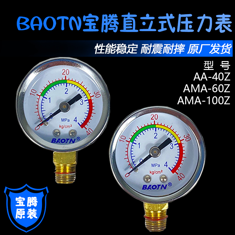 BAOTN宝腾BT-A2P/C2P电动润滑泵4MPA/40kg压力表油泵油压表A1/C1P