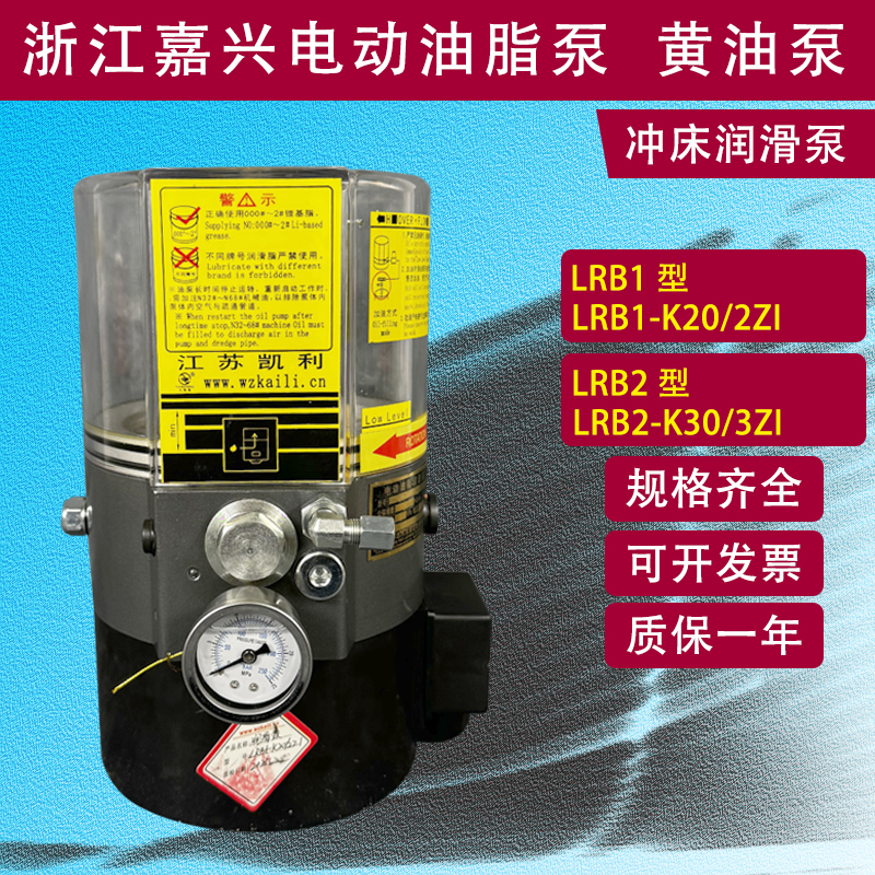 冲床电动黄油泵浓油泵LRB1-K20/2