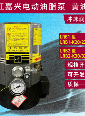 浙江永嘉润滑油泵/2ZII扬力广锻冲床电动黄油泵LRB1-K20/2ZI/2ZKI