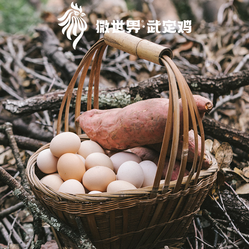 云南微世界·精品武定小飞鸡 | 武定鸡鸡蛋60枚 顺丰生鲜包邮