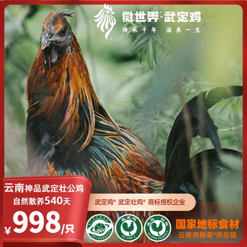 云南微世界·神品武定壮公鸡·自然慢长540天壮鸡限量3000只