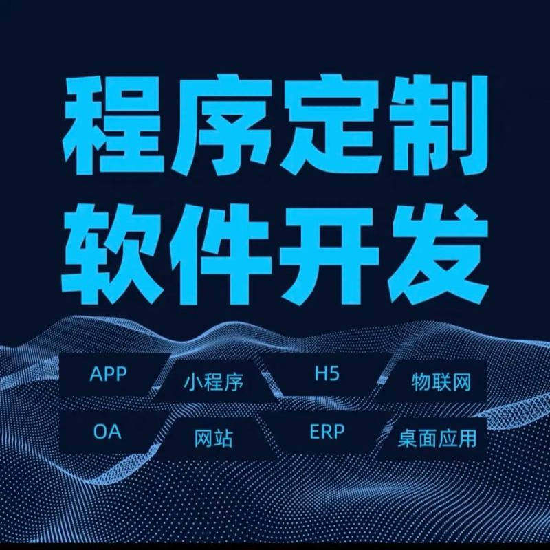 专业Java、 Python、小程序、Web网站/系统统定制开发能开发