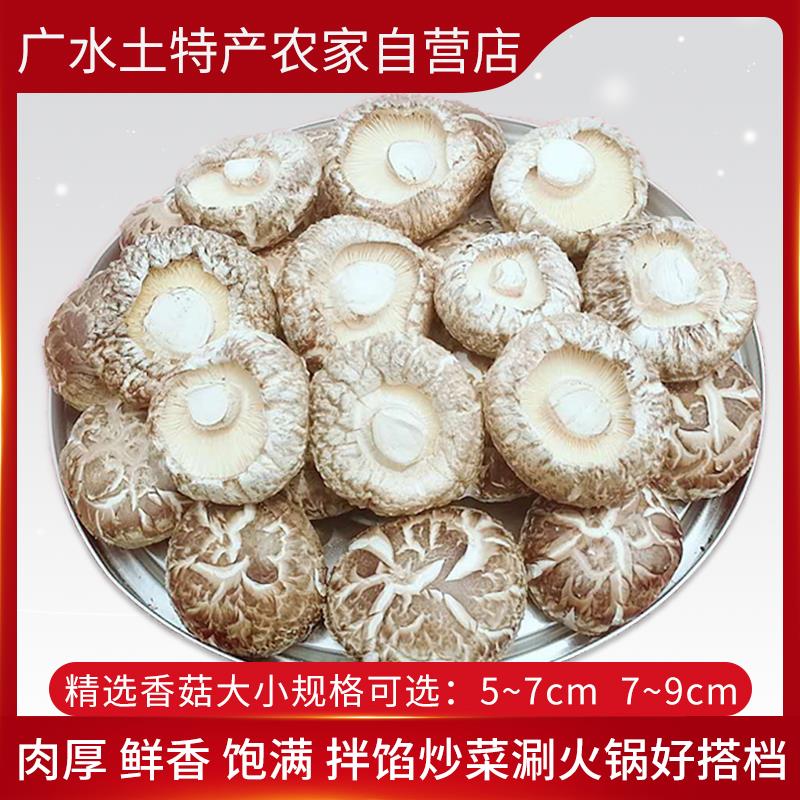 湖北干香菇随州花菇干货500g包邮菌菇大蘑菇新货剪脚冬菇