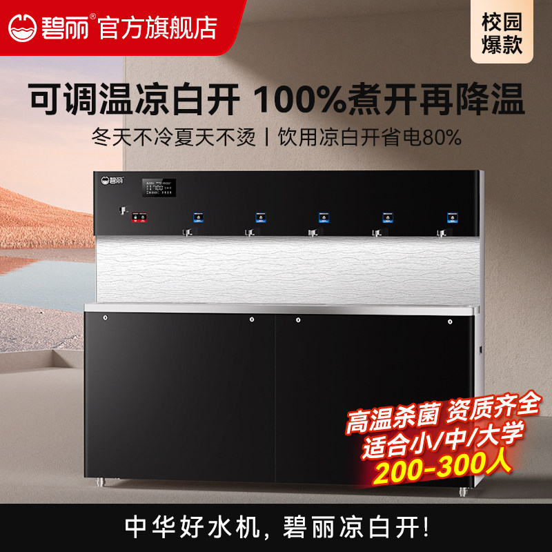 碧丽商用净水器反渗透加热一体