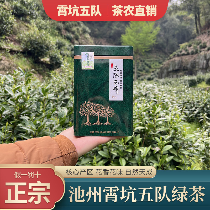 2024正宗茶农直销安徽池州霄坑村五队野生茶高山肖坑绿茶毛峰礼盒