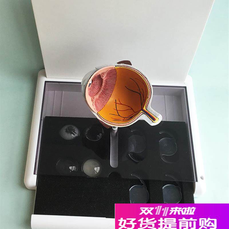 眼睛模型晶片虹膜n器官解剖白内障光学教仪医用医学教学教具