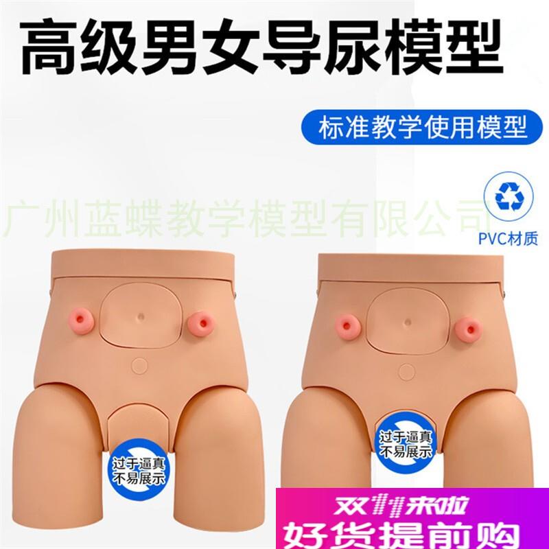 高级男性导尿模型男性导尿训练模型女J性导尿模型有膀胱尿道肠