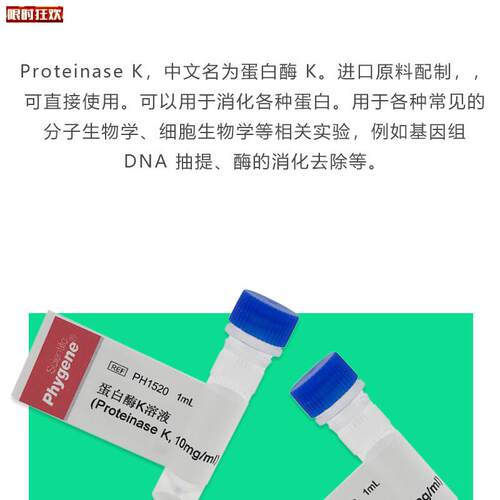 白酶K溶液ProteinaseK10mg/mL实验d试剂[PH1520PHYGENE]