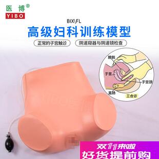Fl高级妇科检查训练模型仿B真子宫触诊练习检查模型医学 医博BIX