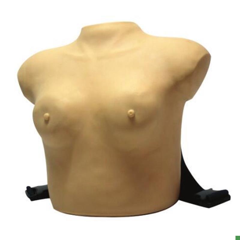 高级着装式乳房自检模型乳房检查J模型女性乳腺自检模型