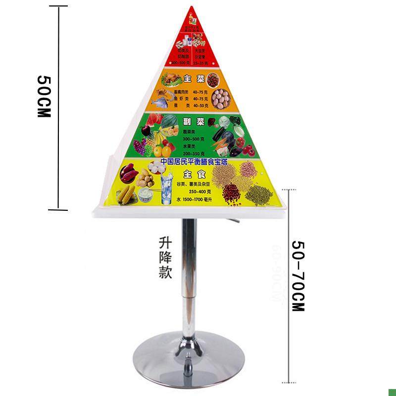 2022中国居民平衡营养指导膳食B宝塔模型仿真食物金字塔交换份模
