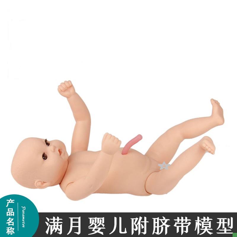 高级出生婴儿附脐带模型婴儿模J型月嫂家政培训娃娃