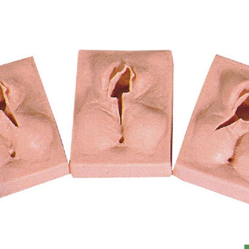 外阴缝合练g习模型会阴缝合练习模块缝合技能训练模型