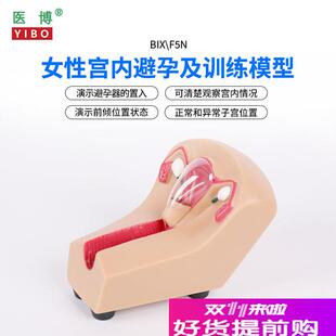F5N女性宫内避孕器训练模型子宫生殖器官教学模具上环取 医博BIX